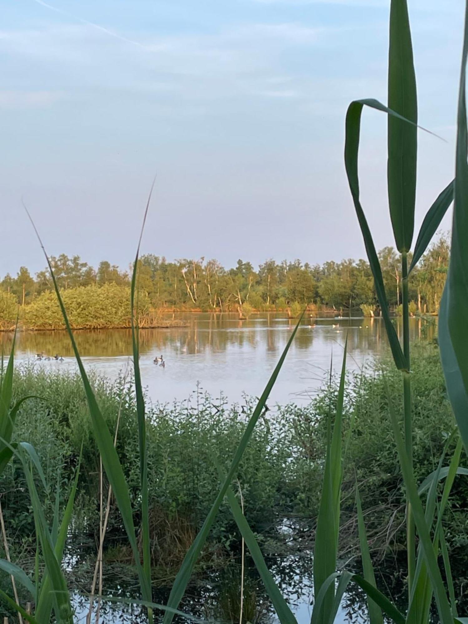Vakantiewoning Hegga Hegelsom Kültér fotó
