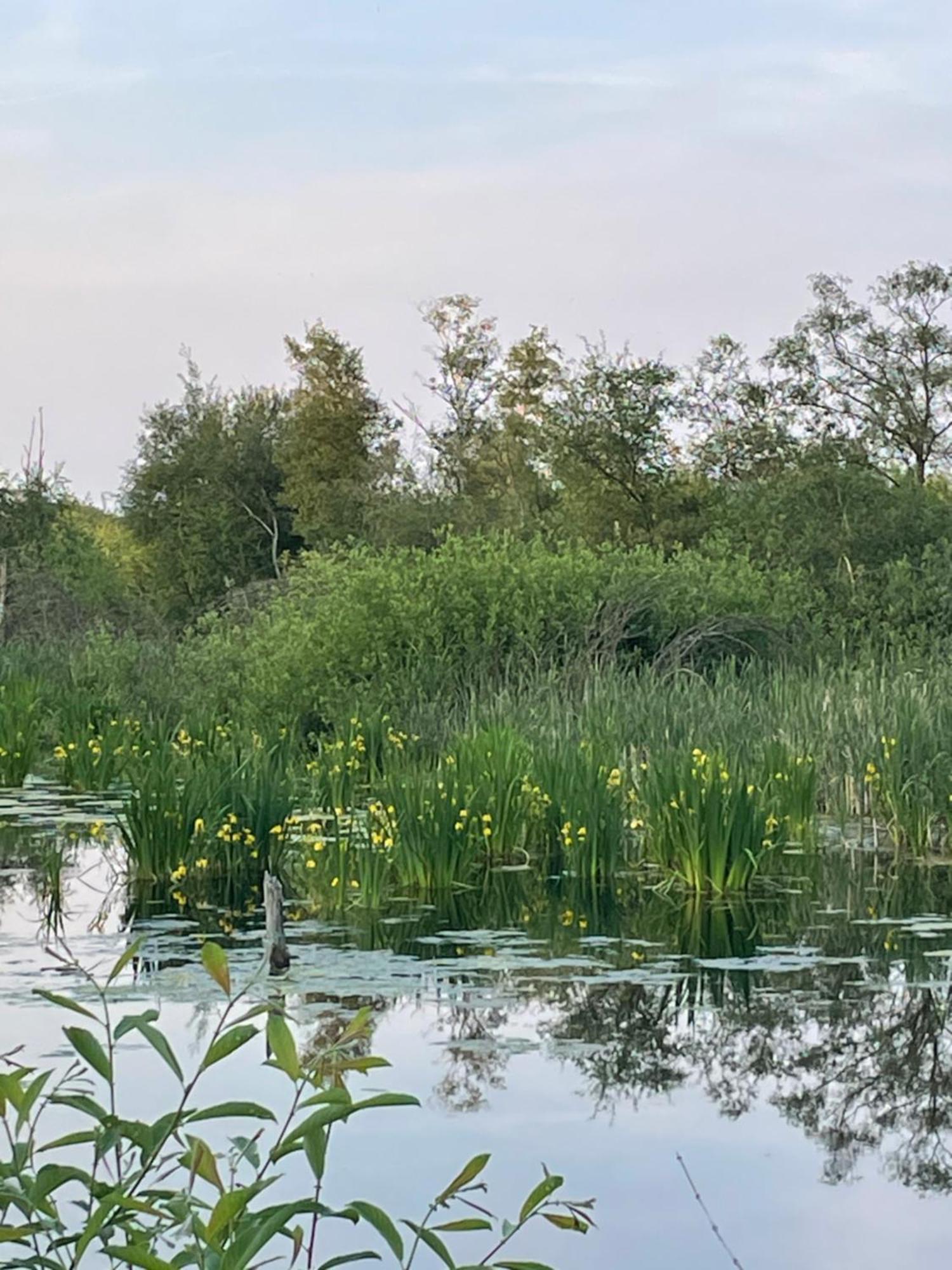 Vakantiewoning Hegga Hegelsom Kültér fotó